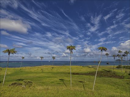 Lord Howe Island - NSW SQ (PBH4 00 11778)